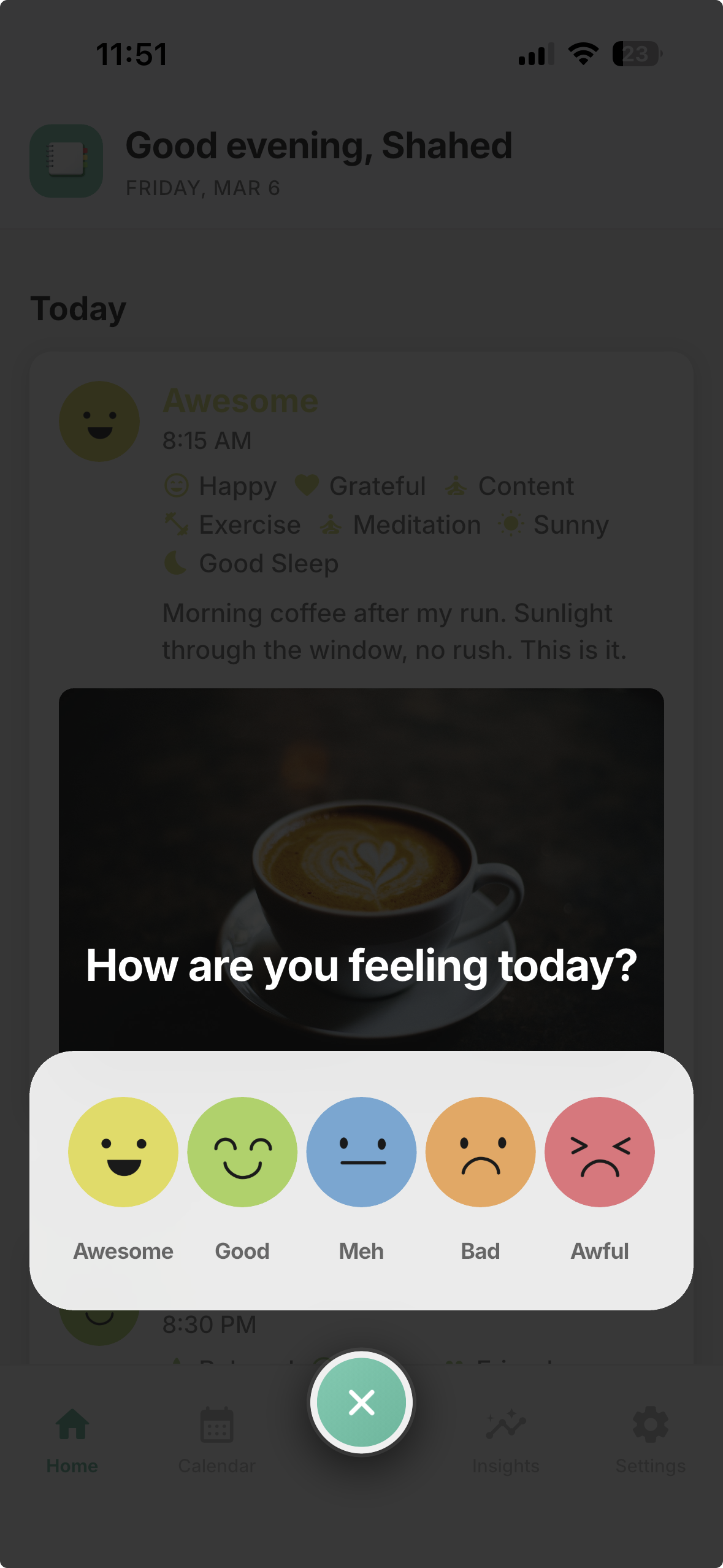 DearMood mood check-in overlay